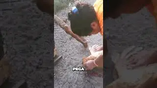 Vida na Roça Não é Fácil não.
