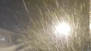 Snow Fursuiting Live Stream