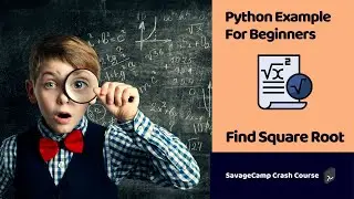 Python Example Code | Find Square Root | SavageCamp