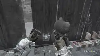 DayZ - 