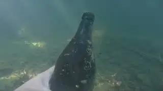 Нашли Крутое место с Карпами
