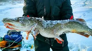 ПРОВЕРКА СЕТИ ЗИМОЙ ❄🌨