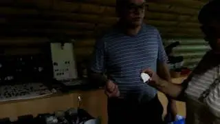 Кохолонг