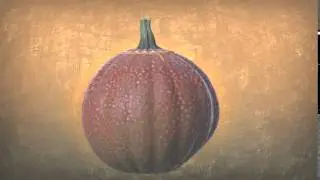 Jack-o-lantern