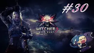 The Witcher 3: Дикая охота #29 на МАКСИМАЛЬНОЙ сложности) Гуляем  с Тискаом и встречаем Роше)