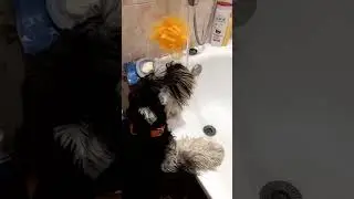 ФРОСЯ ПЬЁТ