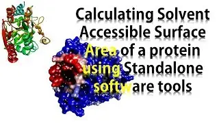 Calculating Solvent Accessible Surface Area using Standalone Software