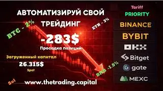 Минус в позиции — управление капиталом в реальном времени. Тариф Priority спотовый рынок - 283$