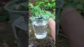 easy science experiments | Mr.Technic Gear #shorts #ebulljet #m4tech #science