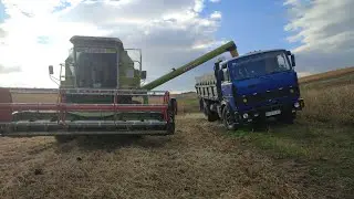 МОЛОТИМО СОЮ. CLAAS DOMINATOR 86. 27.09.2024