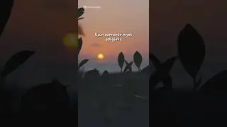 ZILHICCE AYI.QURBAN BAYRAMI/2023