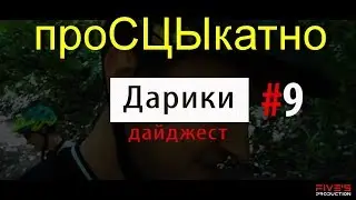 Дарики дайджест №9 проСЦЫкотно