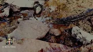 Cinematic Video with Smartphone Camera