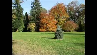 Kronberger Herbstimpressionen.rm