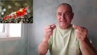 Интересно знать! #ржя #deaf