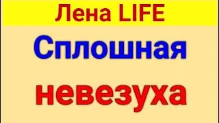 Лена LIFE. Обзор влогов. Ваня - чайка. 15 06 2024 Лена