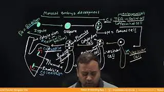 Sexual reproduction of flowering plants | Lecture -12 Class - NEET TARGET English