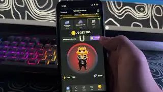 НОВЫЙ ШИФР 5 ИЮЛЯ В HAMSTER KOMBAT! КАК ПОЛУЧИТЬ 1 МЛН МОНЕТ