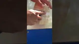 Skill Dewa mengupas kelapa sampai halus, hasilnya luar biasa