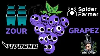 SPIDER FARMER G4500 SERIES grow light slide show.