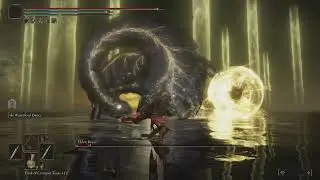 ELDEN RING(radagon and elden beast)