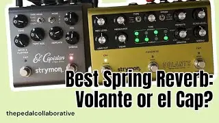 Let’s Compare the Spring Reverb on the Strymon Volante & el Capistan and See Who Wins!!!