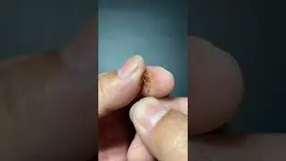 #satisfying
