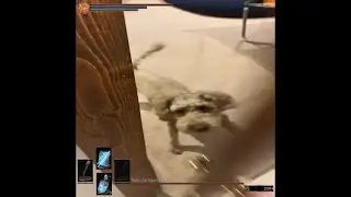 There is no escape, hooman!