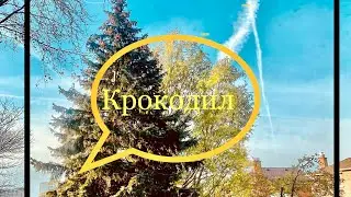 Крокодилы в Торонто .