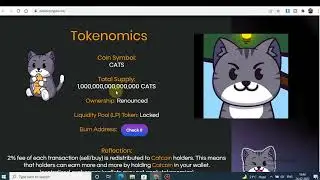 🐈 Catcoin Review | Next Shiba Inu in 2022 | 10000X Price Pump in 2022 |