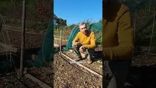 Pobalini na vrtu