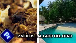 How to Put 2 Videos Side by Side in Premiere Pro (Quick Tutorial)