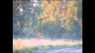 Bedankt Gelderslandschap Deel 2
