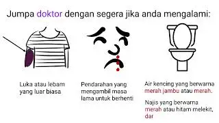 What you need to know about Apixaban (Malay)