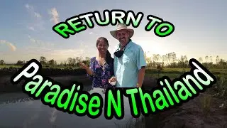 Return to Paradise - Back in Thailand