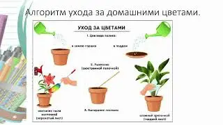 Трудовое обучение 1 класс тема "Я маленький помощник" 3 урок I четверть