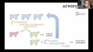 Семинар ИКС - Доение