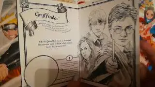 Мои покупочки Harry Potter)))