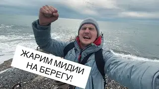 Экскурсия по Сочи от маршала автодрома. Жарим мидии на берегу!