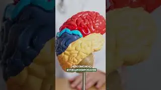 Проблемы с памятью, усталость, отсутствие интереса