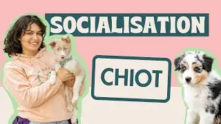 Une socialisation totalement INÉDITE !