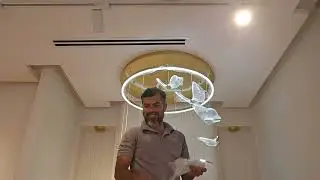 circle hanging light fixing, butterfly 🦋  ✨️ 💕 ! chandelier light.. magnetic
