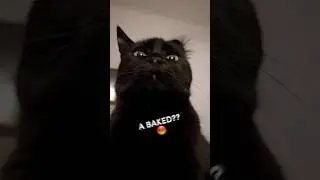 A baked bean??😡🤬 