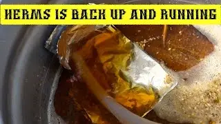 FIVEMinute Hop Drop IPA ~ Full Brew Day