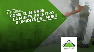 Come togliere la muffa dal muro e trattare salnitro e umidità | Leroy Merlin
