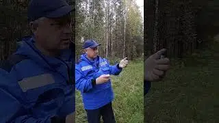 Как отпугнуть медведя при помощи рефтамида.