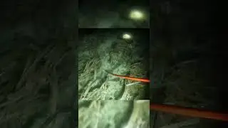 Nyuluh Menombak ikan panen banyak semadar Babon² Seruh banget 