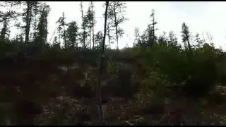Суровая Сибирская газонокосилка (тормозов нет на#%^)