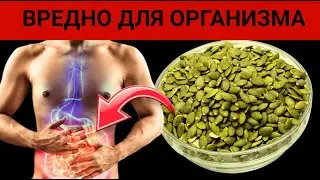 Какой вред приносят организму семечки тыквы и в чем их польза? #ТыквенныеСемечки #Тыква #Семена