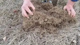 Калужский No-Till